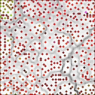 A map of various resources in the .ch domain (1,000 resouces)